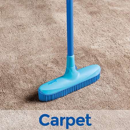 Catch  Clean Carpet