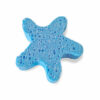 Starfish - Blue